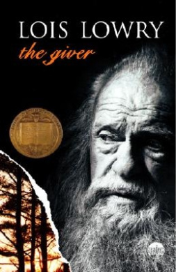 The giver of stars book review