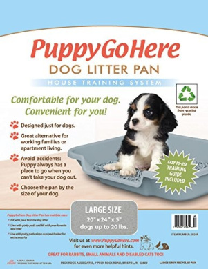 puppy go here litter box