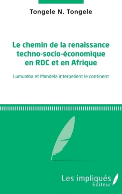 Game Rdc Warehouse Le chemin de la renaissance techno-socio-économique en RDC et en ...